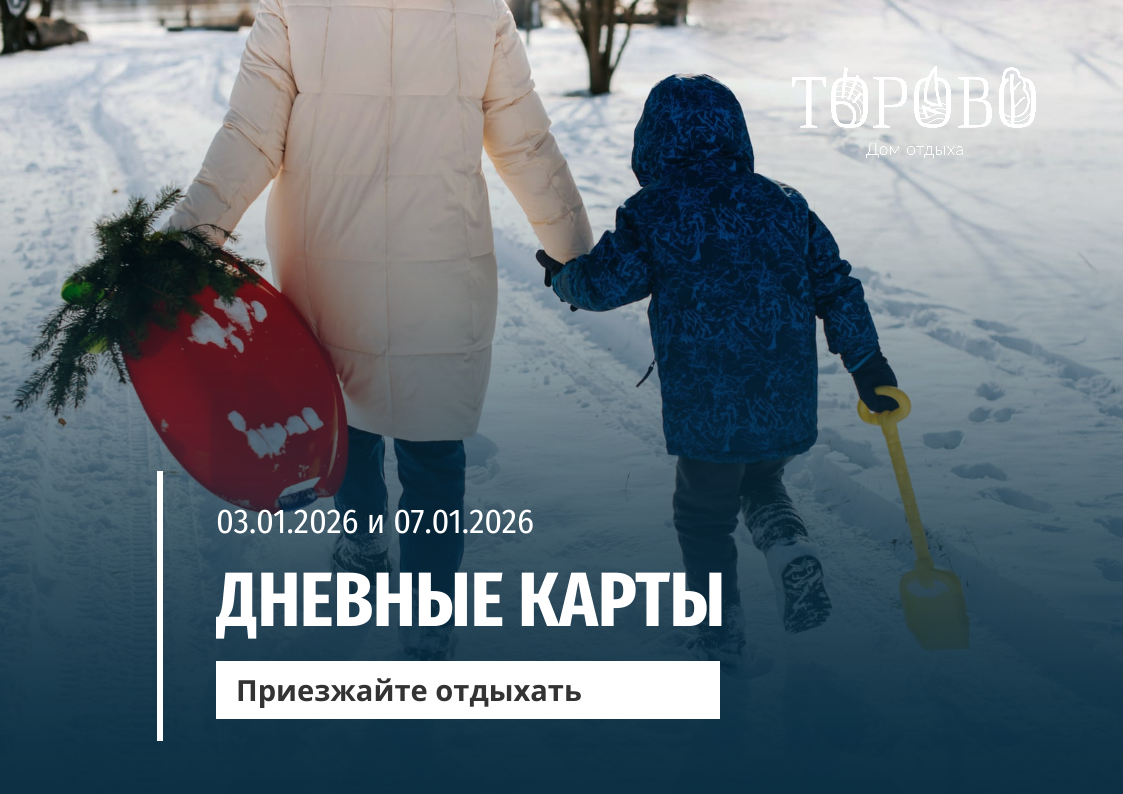 Дневные карты - зимние каникулы